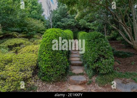 Una scalinata in pietra incorniciata da cespugli presso il Giardino Giapponese A Toowoomba Foto Stock