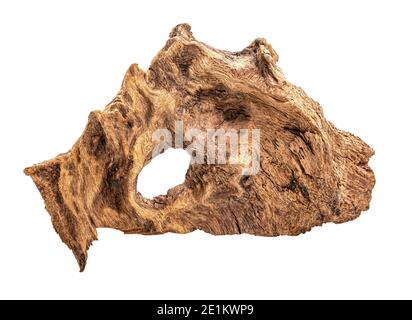 Pezzo di ben indossati driftwood su sfondo bianco Foto Stock