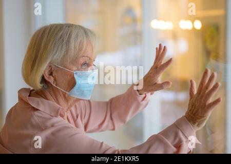 Donna solitaria anziana che indossa un protettivo in posizione di blocco Covid-19 ad una finestra con le mani sul vetro fissando longingly all'aperto Foto Stock