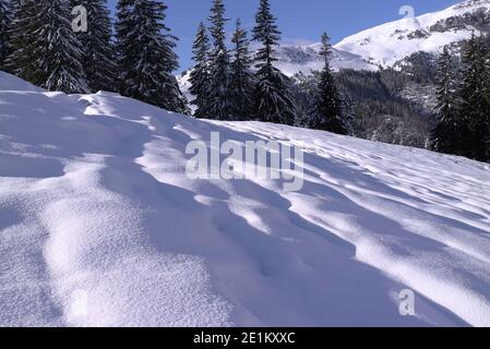 Campo da neve, Romania Foto Stock