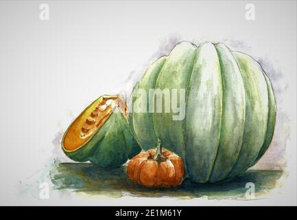 Zucche. Pittura di zucca verde e arancione. Pittura ad acquerello disegnata a mano su sfondo bianco. Opere d'arte. Dipinto dal fotografo. Foto Stock