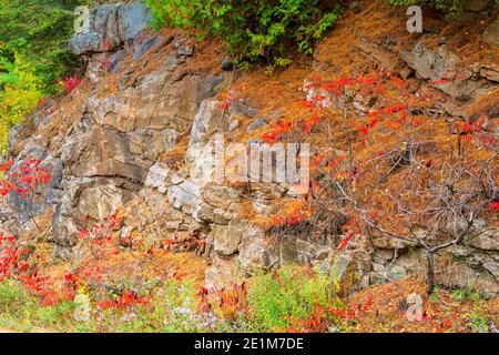 Three Brothers Waterfalls Conservation Area Kinmount Ontario Canada in autunno Foto Stock