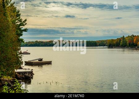Three Brothers Waterfalls Conservation Area Kinmount Ontario Canada in autunno Foto Stock
