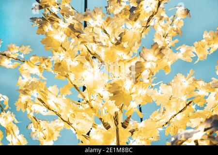 Acero giallo - decorazioni natalizie in strada nel parco Foto Stock