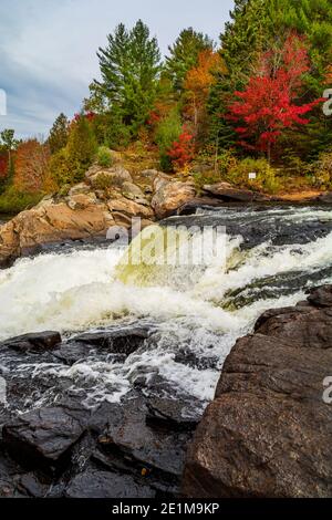 Tre cascate Brothers Kinmount Minden Hills bruciano il fiume Kinmount Ontario Canada in autunno Foto Stock