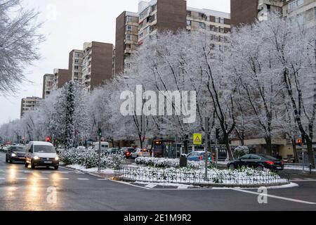 Vista sulla neve sui rami degli alberi e sulle strade di Madrid. Giornata fredda con molta precipitazione in forma solida. In Spagna Foto Stock