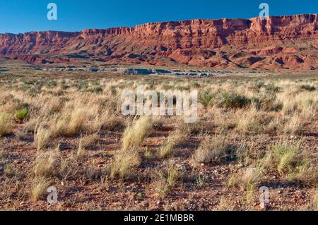 Paria Plateau scarpata al tramonto, Vermilion Cliffs National Monument, Arizona, Stati Uniti Foto Stock