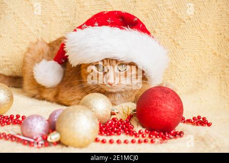 Divertente gatto zenzero grasso in Babbo Natale cappello bugie Su una coperta gialla circondata da giocattoli di Capodanno Foto Stock