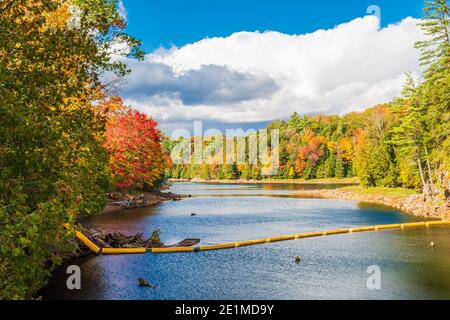 Kennisis Conservation Area lago di Bays Muskoka County Ontario Canada Foto Stock