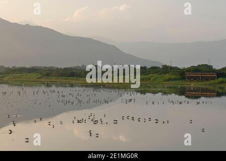 Vista del 'The scrape' (Stagni 16/17) Riserva Naturale di mai po, Hong Kong 28 agosto 2015 Foto Stock