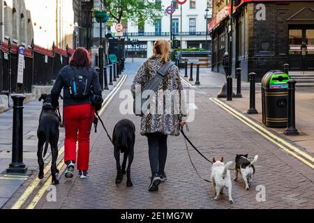 Inghilterra, Londra, due donne Dog Walking Foto Stock