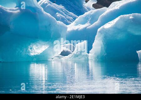 Jökulsarlon in Islanda Foto Stock