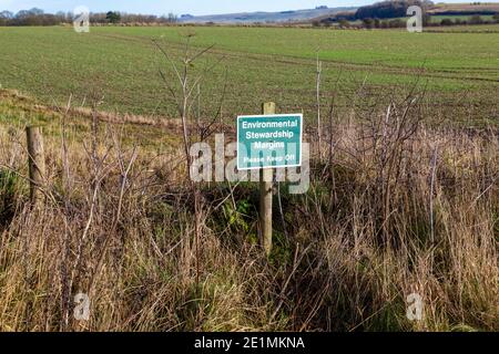 Environmental Stewardship Margins sign on Field Margin, Yatesbury, Wiltshire, Inghilterra, UK Foto Stock