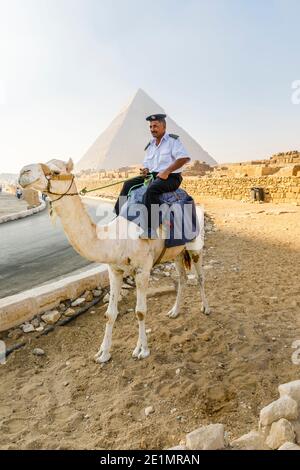 Poliziotto locale montato su un cammello nel complesso della Piramide di Giza (necropoli di Giza) di fronte alla Piramide di Khafre, il Cairo, Egitto Foto Stock