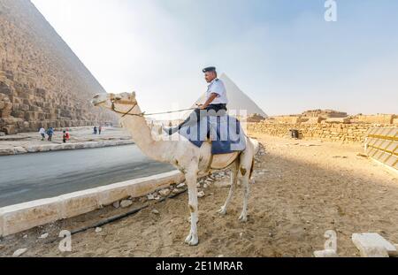 Poliziotto locale montato su un cammello nel complesso della Piramide di Giza (necropoli di Giza) di fronte alla Piramide di Khafre, il Cairo, Egitto Foto Stock