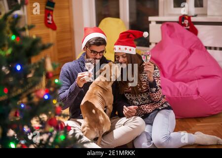 Felice coppia bevendo champagne e giocando con il loro cane mentre si siede sul pavimento. Concetto di vacanze di Natale. Foto Stock