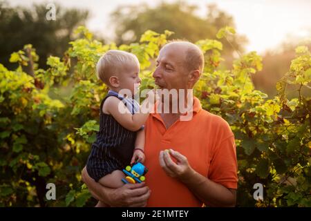 Amore infinito. Foto di nonno e nipote in bellissimo giardino. Il nipote sta nutrendo il nonno con l'uva. Foto Stock