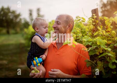 Amore infinito. Foto di nonno e nipote in bellissimo giardino. Il nipote sta nutrendo il nonno con l'uva. Foto Stock