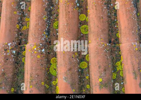 Texture colorata su un tetto in terracotta rivestito di muschio e muffa dopo anni di esposizione al sole e. pioggia Foto Stock