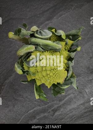 Un romanesco broccoli intero su un tavolo da cucina Foto Stock