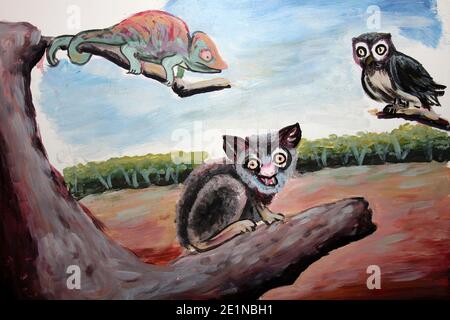 Ghana Ashanti Folktale personaggi - Chameleon (Abosom-Akotere), Owl (Opatuo), Orso d'albero (Owea) - come hanno ottenuto le loro grida distintive Foto Stock