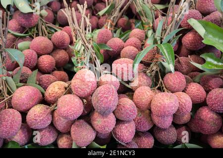 primo piano della pelle naturale di lichi Foto Stock