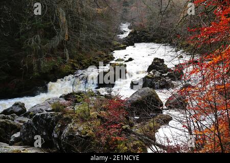 Il sito Hermitage sulle rive del fiume Braan nella foresta di Craigvinean, Scozia Foto Stock