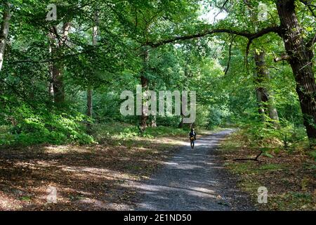 Donna che prende l'esercitazione socialmente distanziata e godendo la campagna inglese di autunno. Foto Stock