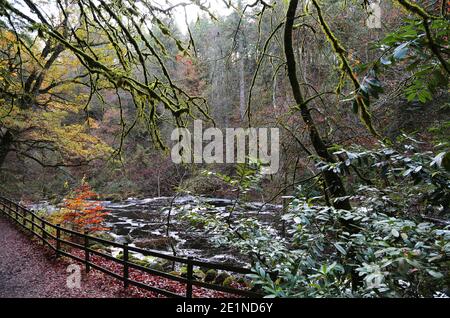 Il sito Hermitage sulle rive del fiume Braan nella foresta di Craigvinean, Scozia Foto Stock