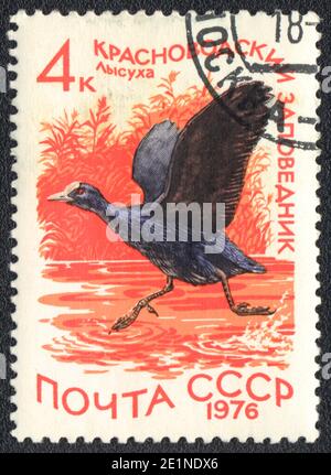 Un francobollo stampato in URSS mostra la folaga eurasiatica nella riserva di Hasan Kuliysky, dalla serie National Reserve, circa 1976 Foto Stock