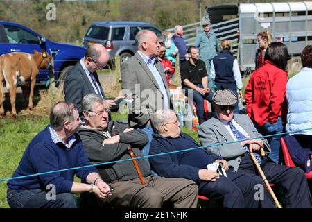 Ochiltree Village mostra agricola, Ayrshire, Scozia, Regno Unito Foto Stock