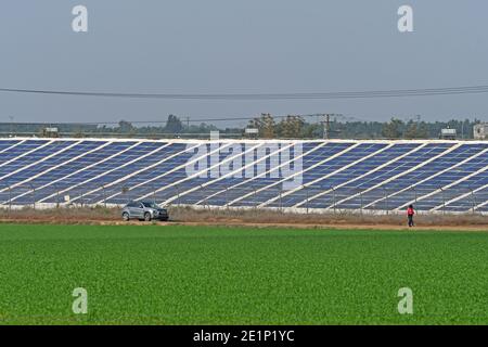 Campo pannelli solarici Foto Stock