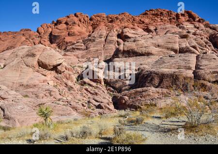 Red Rock Canyon National Conservation Area, Las Vegas, Nevada, Stati Uniti. Dicembre 2020. Foto Stock