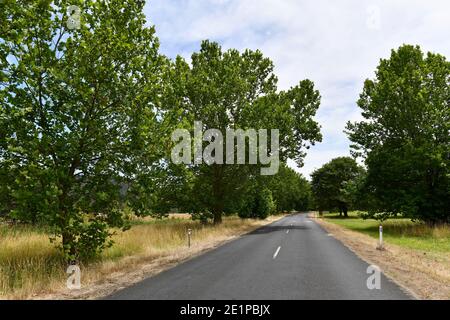 Una vista sulla via alpina vicino a Khancoban nel NSW Foto Stock