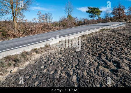 Ichnite, fossile track, footprint, Enteledon, Sant Mateu de Bages, Catalogna, Spagna Foto Stock