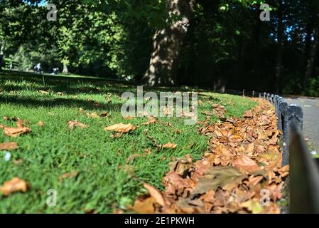 Bella fogliame accanto metallo basso bordo terreno sul prato nel St. Stephen's Green Park nella mattina autunnale, Dublino, Irlanda. Bordatura del prato Foto Stock
