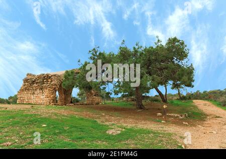 Rovine dell'antica fortezza di Belvoir sullo sfondo del cielo, Israele Foto Stock