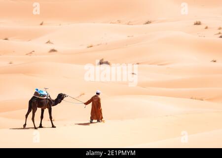 (Fuoco selettivo) vista mozzafiato di un cammello beduino sulle dune di sabbia a Merzouga, Marocco. Merzouga è un piccolo villaggio nel sud-est del Marocco Foto Stock