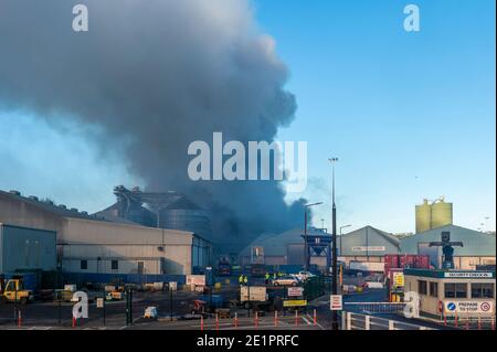 Ringaskiddy, Cork, Irlanda. 9 gennaio 2021. Ringaskiddy, un grande incendio nel porto di Cork, è stato messo sotto controllo. Si ritiene che l'incendio sia iniziato in un impianto di alimentazione degli animali presso la R&H Hall. Non sono state segnalate lesioni. Credit: AG News/Alamy Live News Foto Stock
