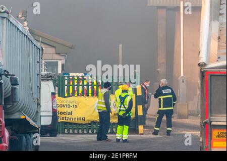 Ringaskiddy, Cork, Irlanda. 9 gennaio 2021. Ringaskiddy, un grande incendio nel porto di Cork, è stato messo sotto controllo. Si ritiene che l'incendio sia iniziato in un impianto di alimentazione degli animali presso la R&H Hall. Non sono state segnalate lesioni. Credit: AG News/Alamy Live News Foto Stock