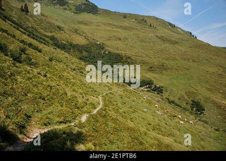 uno stretto sentiero in montagna con mountain bike Foto Stock
