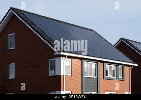 48 pannelli solari montati sul tetto di una moderna casa di nuova costruzione a Lemmer, Frisia, Paesi Bassi con cielo blu Foto Stock