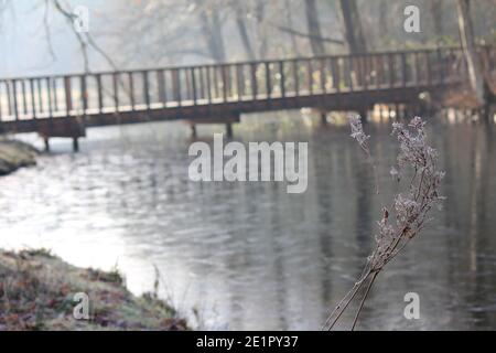 Inverno nel parco cittadino di Staddijk Foto Stock