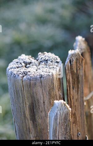 Inverno nel parco cittadino di Staddijk Foto Stock