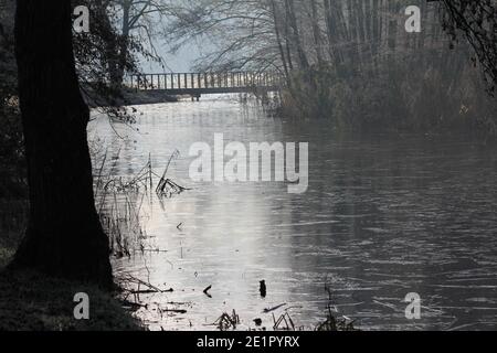 Inverno nel parco cittadino di Staddijk Foto Stock