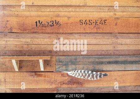 Sezione di una semplice parete interna non verniciata con segni e. una piuma Foto Stock