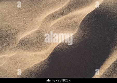 Piccola duna di sabbia da vicino con luce soffusa e calda. Presa sulla spiaggia di Jūrmala appena prima del tramonto quando il sole basso rende tutto il dettaglio minuscolo più pronunciato. Foto Stock