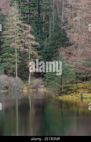 Splendida immagine paesaggistica di Torren Lochan a Glencoe in scozzese Highlands in un giorno invernale Foto Stock