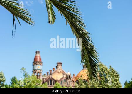 Aranci nella città di Barcellona, Spagna Foto Stock