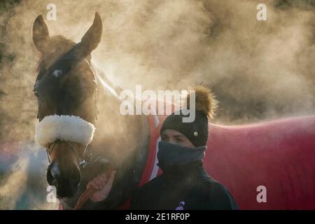 Steam sale da McFabulous dopo aver vinto il Dornan Engineering Relkeel Hurdle, presso l'ippodromo di Kempton Park. Foto Stock